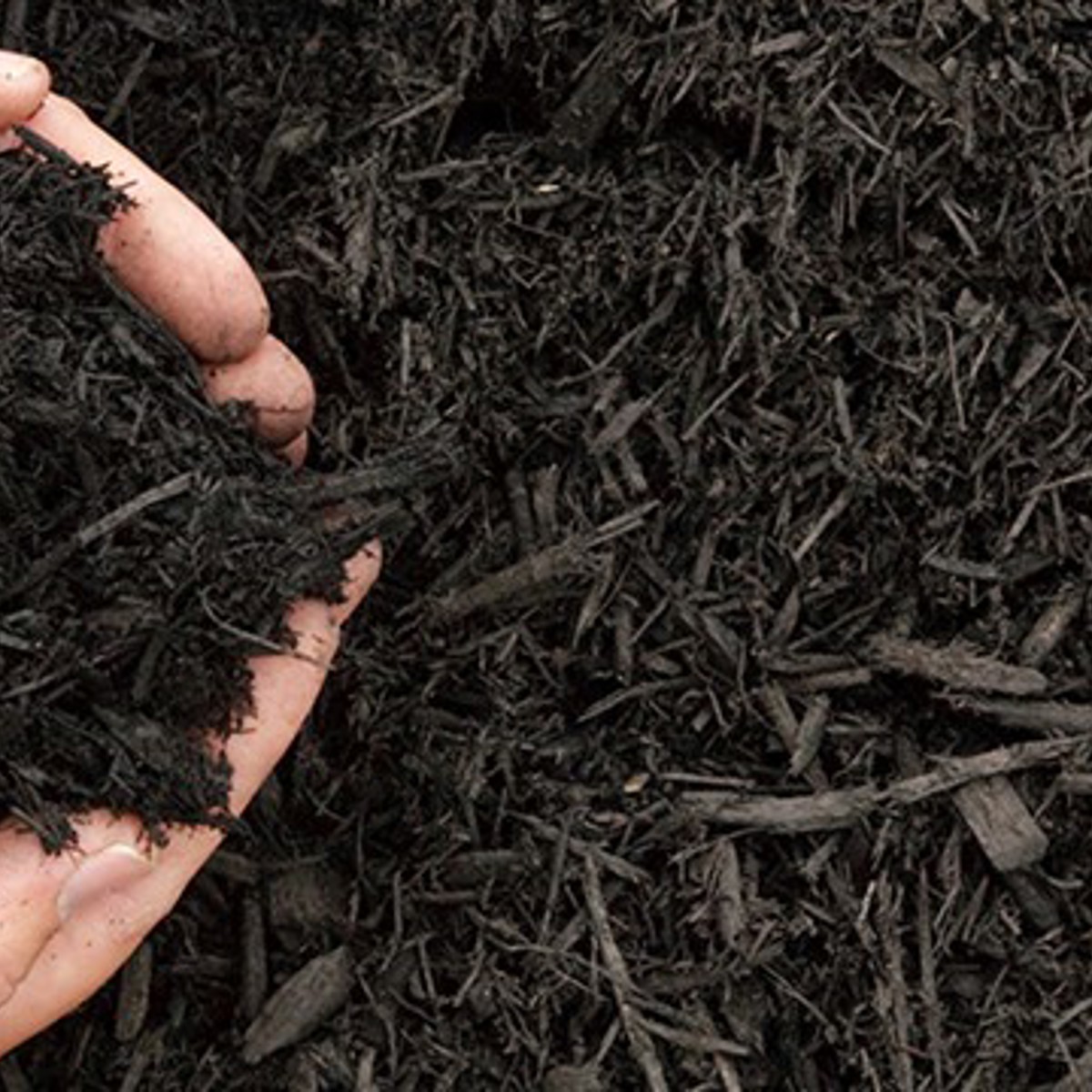 Compost Bestellen 1340X511px (1)