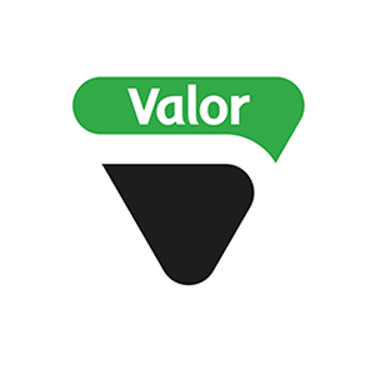 Logo Valor 240X192 (2)